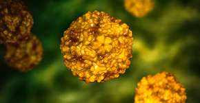 Foto: (Dr_Microbe/istock)