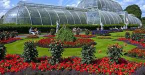 Brasil tem um dos jardins botânicos mais instagramáveis do mundo