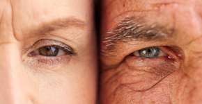 Harvard reconhece eficácia deste alimento contra o envelhecimento