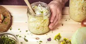 Estudo revela alimento fermentado que protege o intestino de inflamações