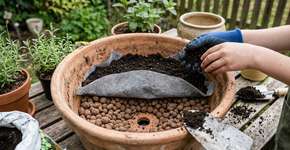 Para que serve colocar argila expandida no fundo dos vasos e como montar para a planta nunca ficar com a raiz encharcada