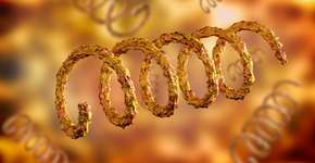 Foto: (Depositphotos/agphotography)