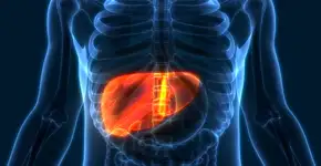 Sintomas comuns de câncer de fígado que podem ser confundidos com indigestão ou outras condições mais simples