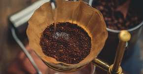 Cientistas revelam como coar o café da forma ideal, aproveitando o máximo do sabor
