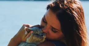 Empresa dá ‘licença-paternidade’ para quem adotar um bichinho