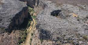 Foto: (Imagem sem texto alternativo disponivel ID [649504])