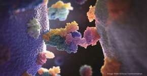 Foto: (Nexu Science Communication)