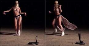 Foto: (Imagem sem texto alternativo disponivel ID [1465771])