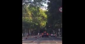 Vídeo mostra motorista derrubando cones de ciclofaixa em SP