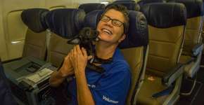 Abrigo faz parceria com empresa aérea para salvar pets de furacão