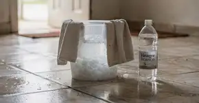 Foto: (Imagem sem texto alternativo disponivel ID [2737255])