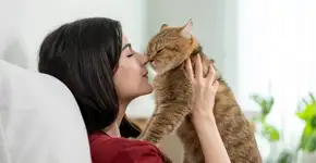 Foto: (Imagem sem texto alternativo disponivel ID [2690292])