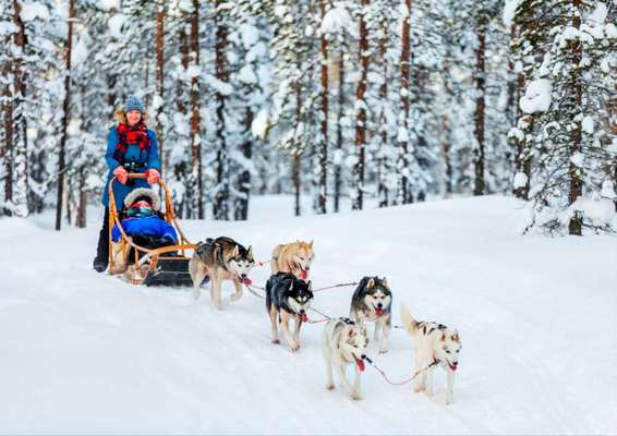Atividades incluem passeios de trenó puxado por huskies