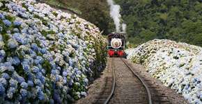 Foto: (Imagem sem texto alternativo disponivel ID [829707])