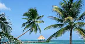 Foto: (Divulgação)