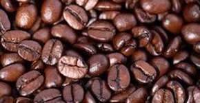 Foto: (Imagem sem texto alternativo disponivel ID [1867364])