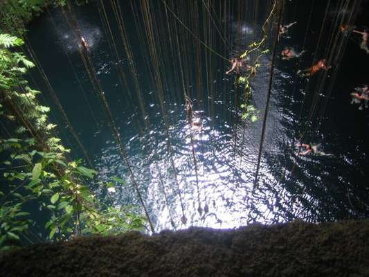 (Foto: Rob Marriage / Flickr)