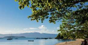 Florianópolis tem opções para quem gosta ou não de Carnaval