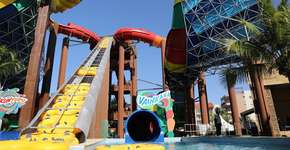 Foto: (Divulgação)