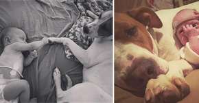 Cachorro adotado é só amor com bebê prematura da família