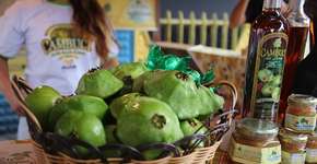 Foto: (Foto: Divulgação.)