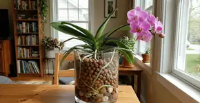 Foto: (Imagem sem texto alternativo disponivel ID [2761922])