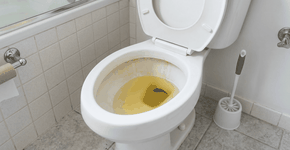 Foto: (Imagem sem texto alternativo disponivel ID [2767977])