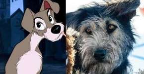 Cachorro protagonista de ‘A Dama e o Vagabundo’ vivia em abrigo