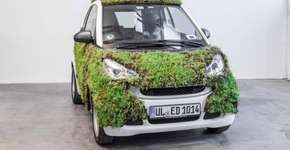 Foto: (Imagem sem texto alternativo disponivel ID [1834927])