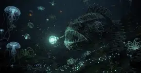 Foto: (Imagem sem texto alternativo disponivel ID [2721790])