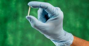 Foto: (celsopupo/istock)