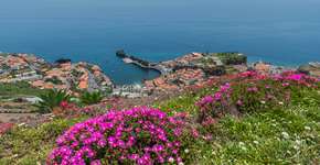 Foto: (Divulgação/Turismo da Madeira)