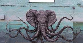 Foto: (Imagem sem texto alternativo disponivel ID [469594])