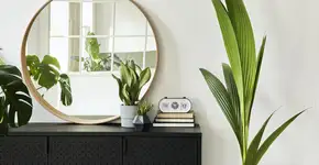 Foto: (FollowTheFlow/istock)