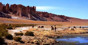 Foto: (Imagem sem texto alternativo disponivel ID [1868592])