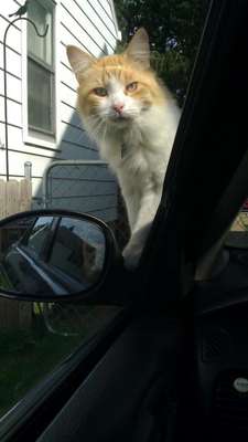 Reprodução/Distractify