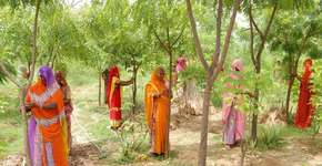 Foto: (Imagem sem texto alternativo disponivel ID [1895451])