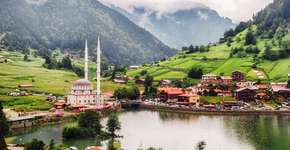 Foto: (minemero/iStock)