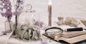 Fotógrafa novaiorquina cria técnica de fotos em movimento