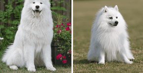 Foto: (Imagem sem texto alternativo disponivel ID [2589111])