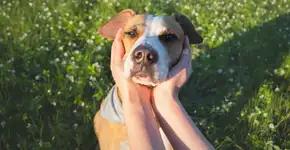 Foto: (Imagem sem texto alternativo disponivel ID [2765376])