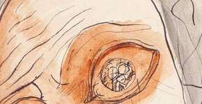 Centro da Cultura Judaica expõe aquarelas de Lasar Segall