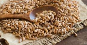 Foto: (iStock/Karisssa)