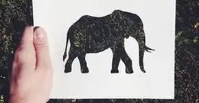 Recortes e Silhuetas