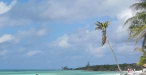 Foto: (Imagem sem texto alternativo disponivel ID [829358])