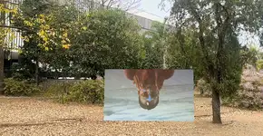 36ª Bienal de São Paulo