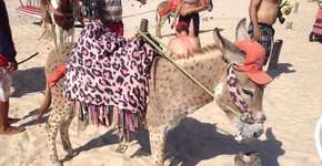 Foto: (Imagem sem texto alternativo disponivel ID [1045828])