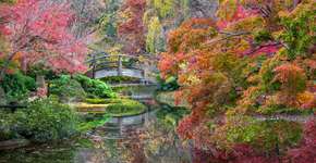 Foto: (Dean_Fikar/iStock)