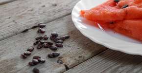 Semente que costuma ir para o lixo pode evitar problemas nos rins