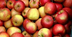 9 alimentos que ajudam a proteger o seu fígado no Carnaval